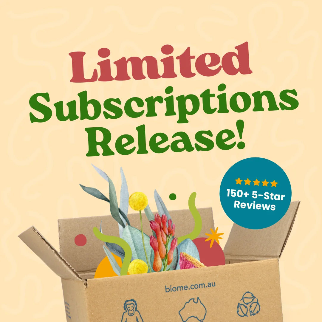 4 x Biome Box Subscription - Starts WINTER 26: palm oil free lifestyle box