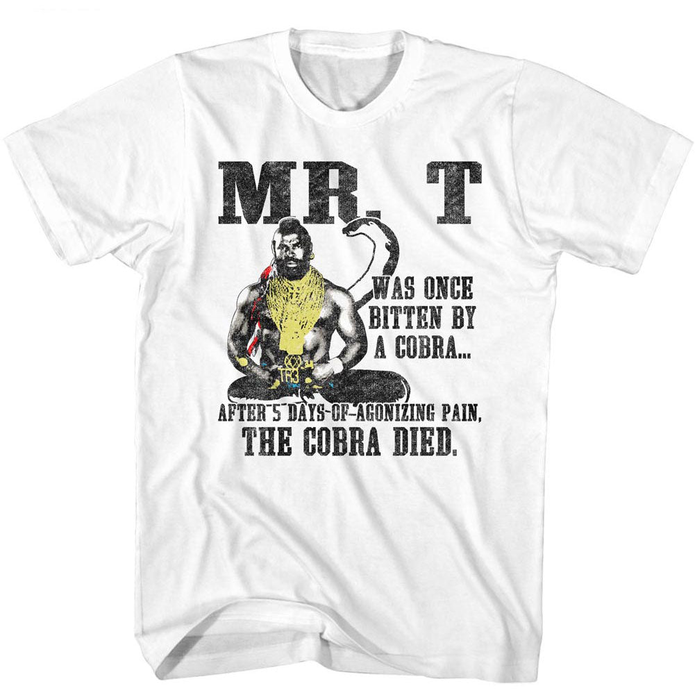 A Team Dedsnek T-shirt