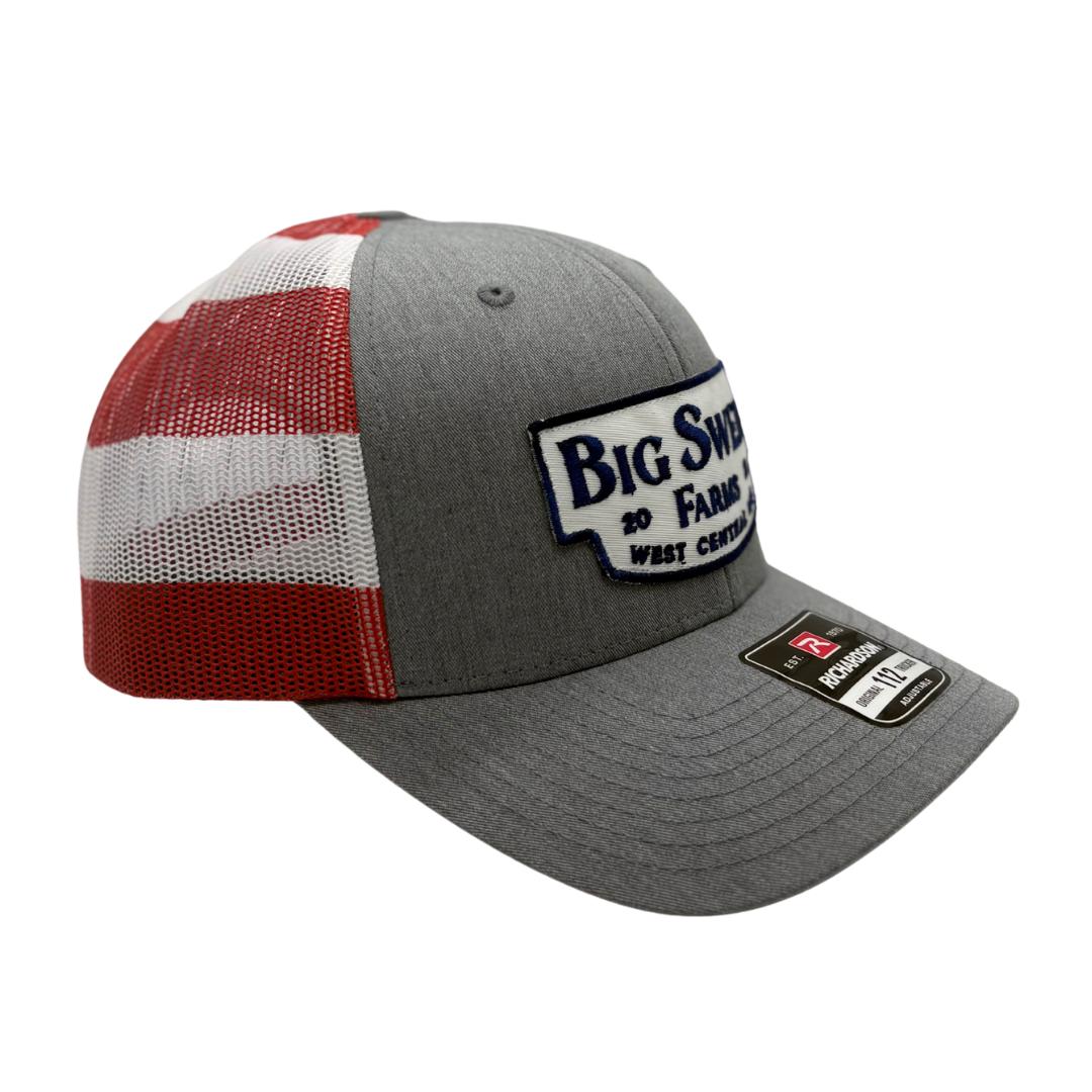Big Swede Logo Hat