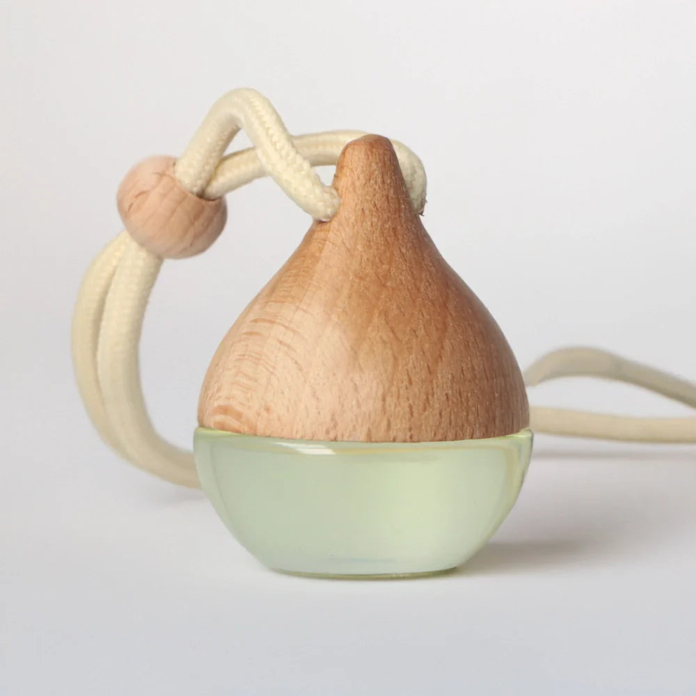 Eco Seed to Skin Essential Oil Air Freshener / Car Diffuser