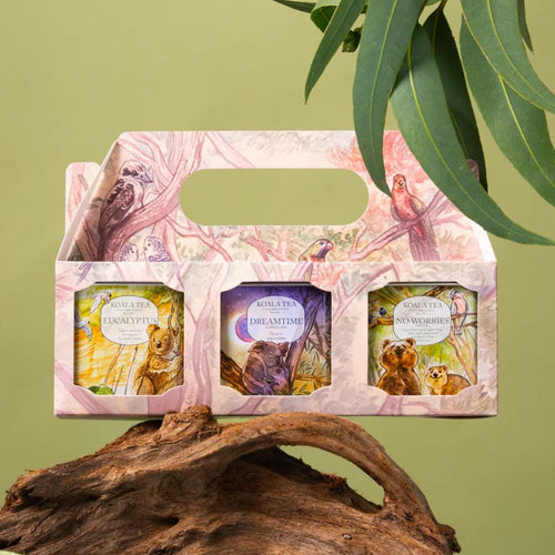 Koala Tea Gift Tin Trio - Organic Tea Bags - Dreamtime, Eucalyptus & No Worries (30 pack)