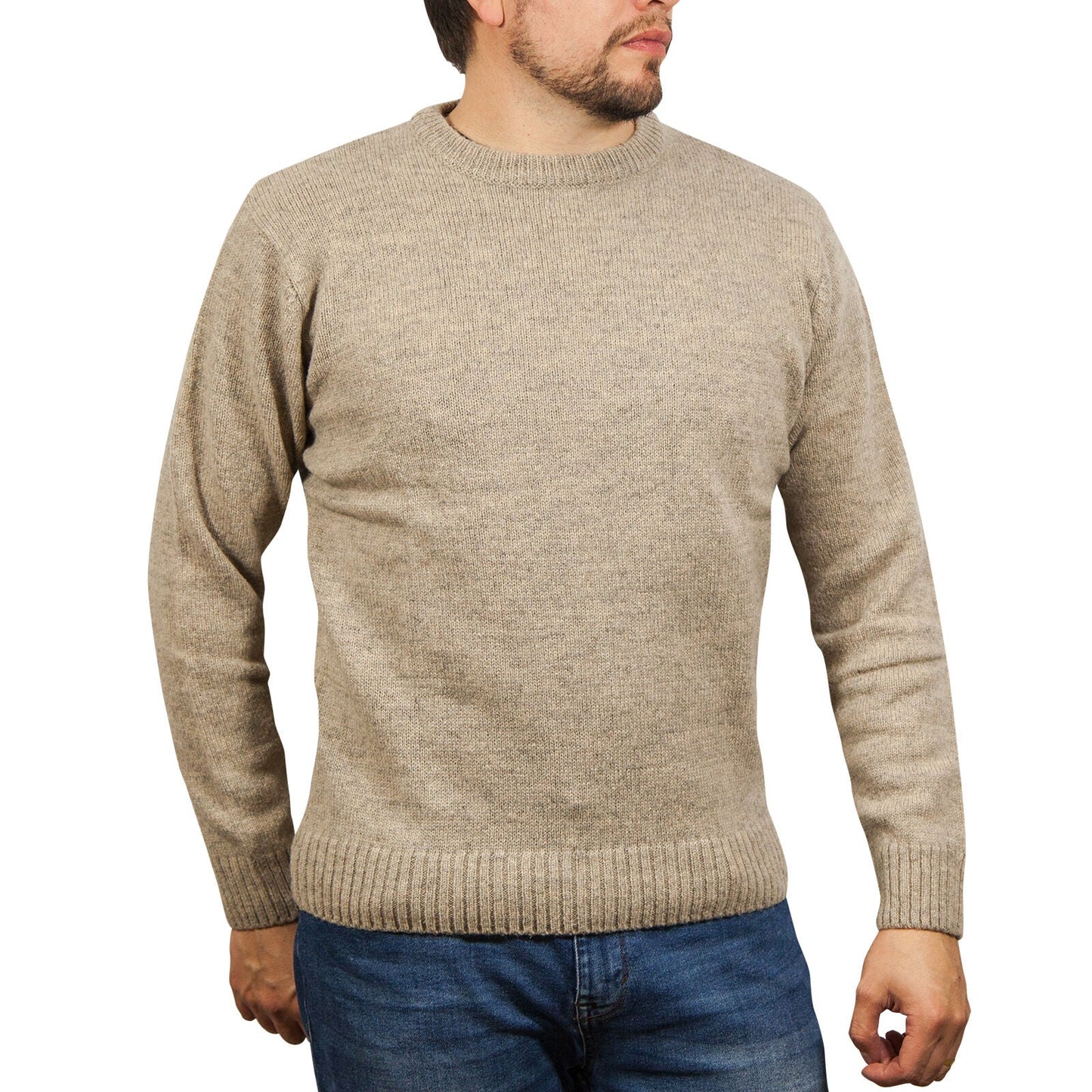 100 Shetland Wool Crew Round Neck Knit Jumper Pullover Mens Sweater Knitted Beige