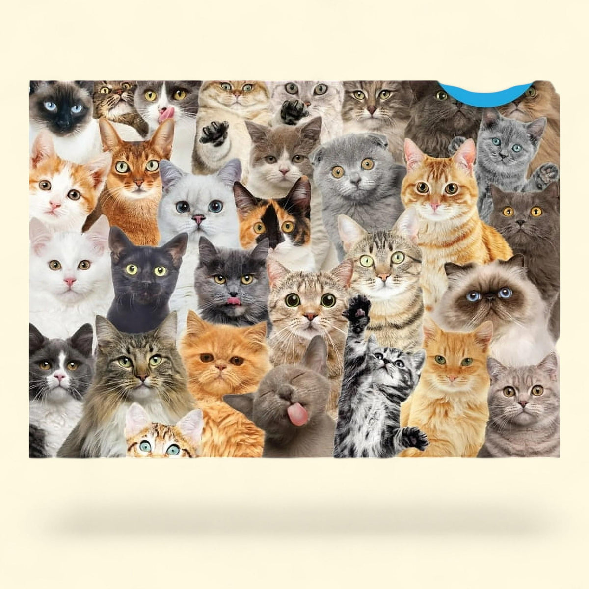 All the Cats Jigsaw Puzzle, 1,000 Pieces