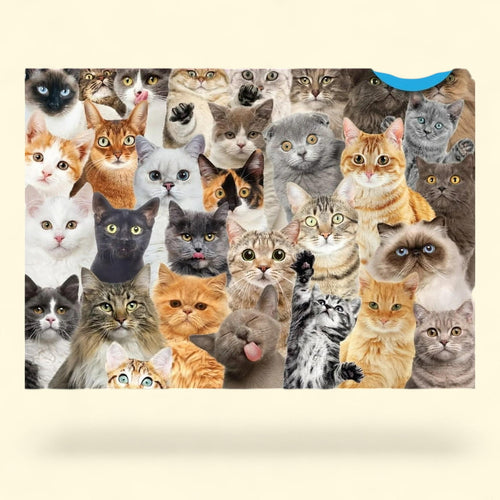 All the Cats Jigsaw Puzzle, 1,000 Pieces